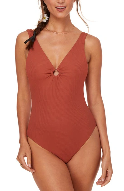 Shop Andie The Bonita One-piece Swimsuit In Ginger
