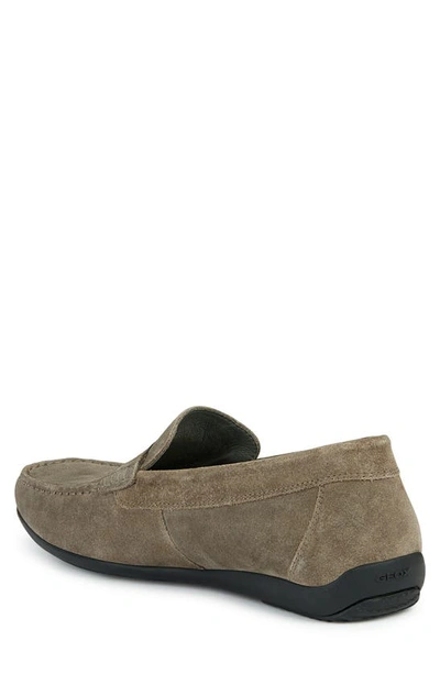 Shop Geox Ascanio Loafer In Dove Grey