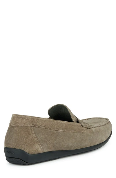 Shop Geox Ascanio Loafer In Dove Grey