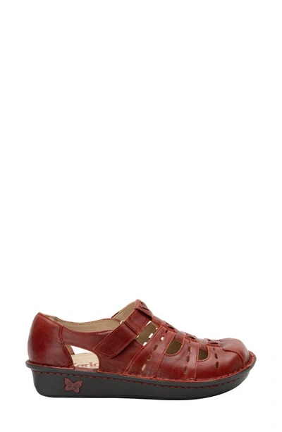 Alegria By Pg Lite Pesca Slip-on In Garnet