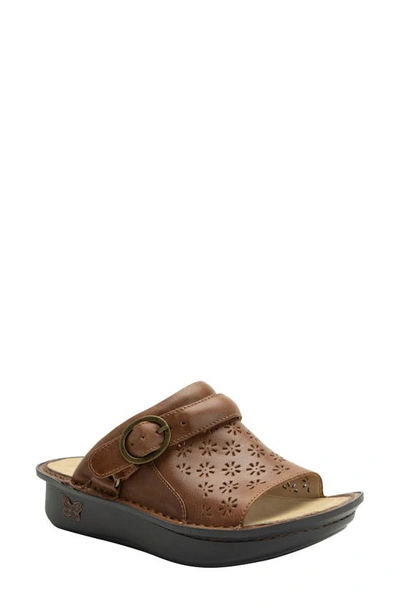 Shop Alegria By Pg Lite Klover Platform Sandal In Walnut