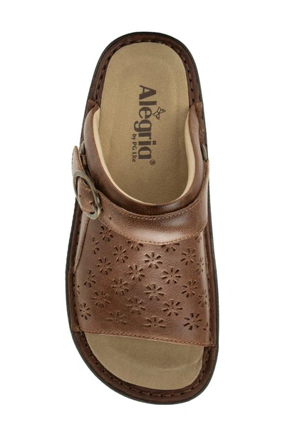 Shop Alegria By Pg Lite Klover Platform Sandal In Walnut