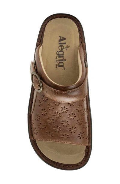 Alegria By Pg Lite Klover Platform Sandal In Walnut