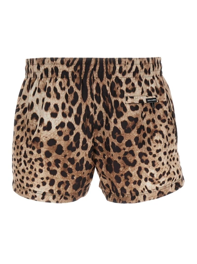 Shop Dolce & Gabbana Brown All-over Leopard Print Shorts Swimsuit In Technical Fabric Man