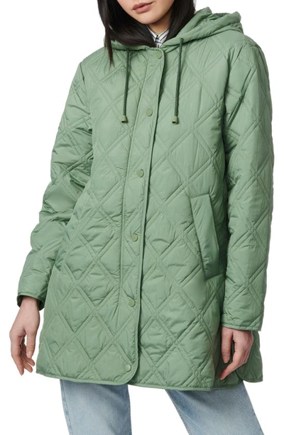 Shop Bernardo Hooded Quilted Liner Jacket In Hedge Green