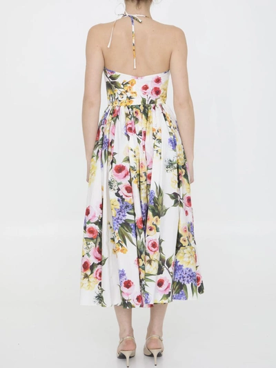 Shop Dolce & Gabbana Garden-print Dress In Multicolor