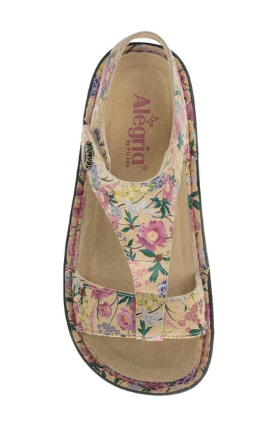 Alegria By Pg Lite Alegria Kerri T-strap Sandal In A Fine Romance