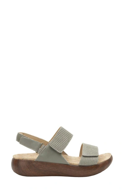 Shop Alegria By Pg Lite Baille Slingback Sandal In Woven Sage