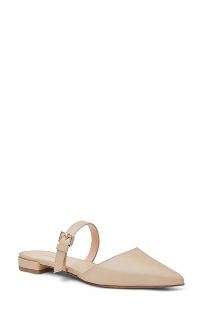 Shop Bruno Magli Pasha Mule In Sand