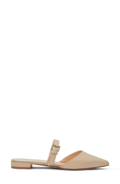 Shop Bruno Magli Pasha Mule In Sand