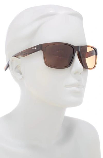 Shop Nike Cruiser 59mm Square Sunglasses In Oak Brown