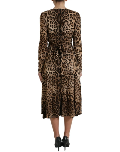 Shop Dolce & Gabbana Elegant Leopard Print Wrap-effect Midi Women's Dress In Brown