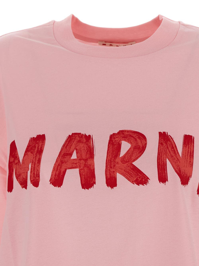 Shop Marni Cotton T-shirt In Pink
