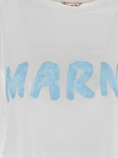 Shop Marni Cotton Cropped T-shirt In White