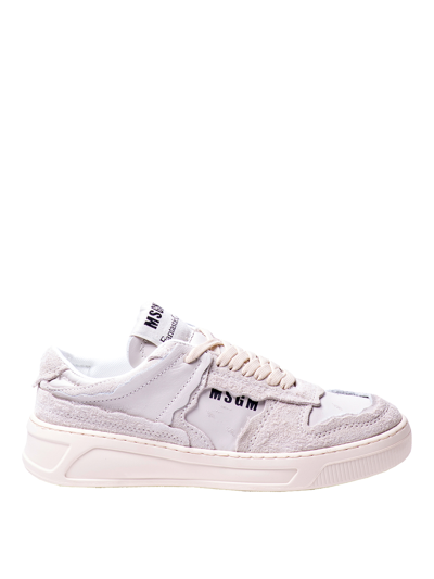 Shop Msgm Fantastic Green Low Sneakers In White
