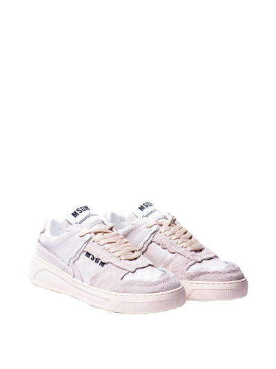 Msgm Fantastic Green Low Sneakers In White