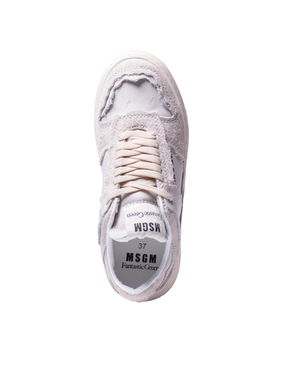 Shop Msgm Fantastic Green Low Sneakers In White