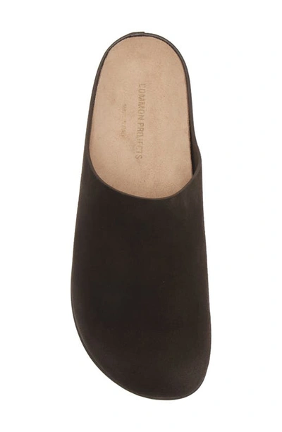 Shop Common Projects Suede Clog In Brown