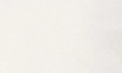 Edikted Better Basics Stretch Cotton Crop T-shirt In White