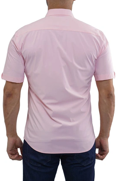 Maceoo Galileo Stretchcore Short Sleeve Performance Button-up Shirt In Pink