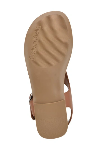 Calvin Klein Moraca Ankle Strap Sandal In Dark Natural