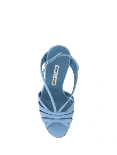 Shop Manolo Blahnik Women Sardina Sandals In Multicolor