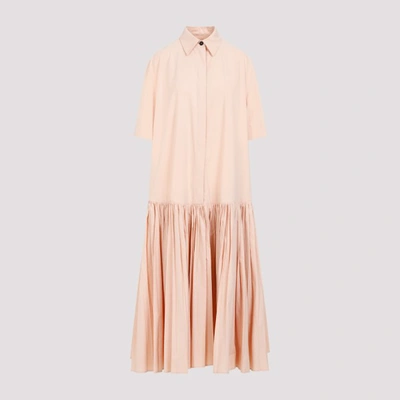 Shop Jil Sander Cotton Midi Dress In English Rose