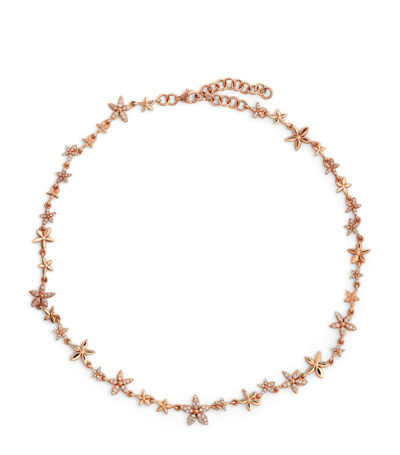 Shop Bee Goddess Rose Gold And Diamond Apple Seed Choker Necklace
