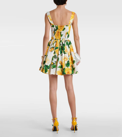 Dolce & Gabbana Rose-print Cotton Minidress In White