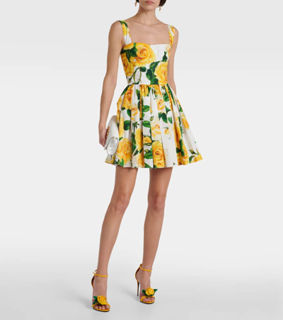 Dolce & Gabbana Rose-print Cotton Minidress In White