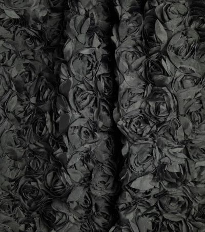 Caroline Bosmans Floral-appliqué Tulle Dress In Black