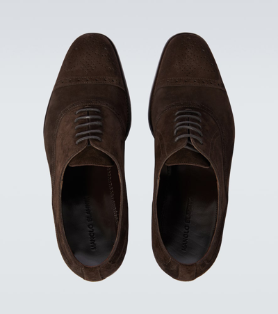 Manolo Blahnik Witney Suede Brogues In Brown