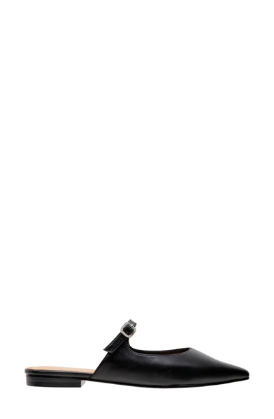 Lisa Vicky Moment Pointed Toe Mule In Black