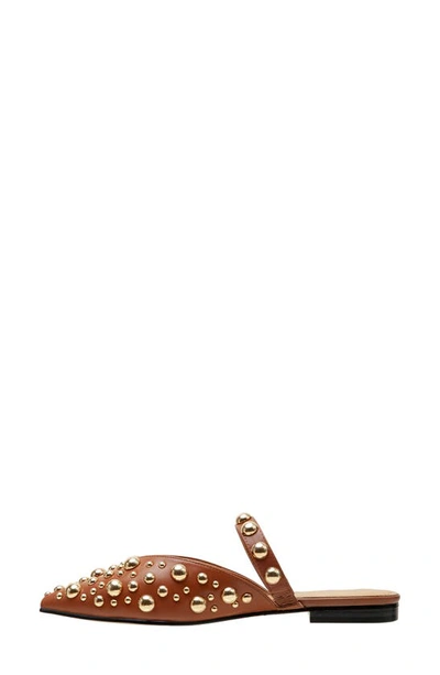 Shop Lisa Vicky Mantra Stud Mule In Whiskey