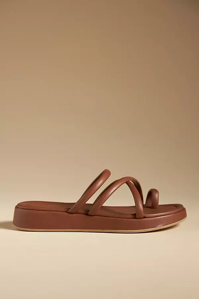 Shop Seychelles Rule The World Sandals In Brown