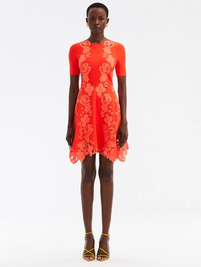 Shop Oscar De La Renta Mixed Botanical Guipure Inset Mini Dress In Tiger Lily