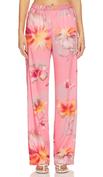 Shop Msgm Desert Flowers Pant In Pink