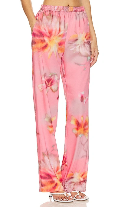 Shop Msgm Desert Flowers Pant In Pink