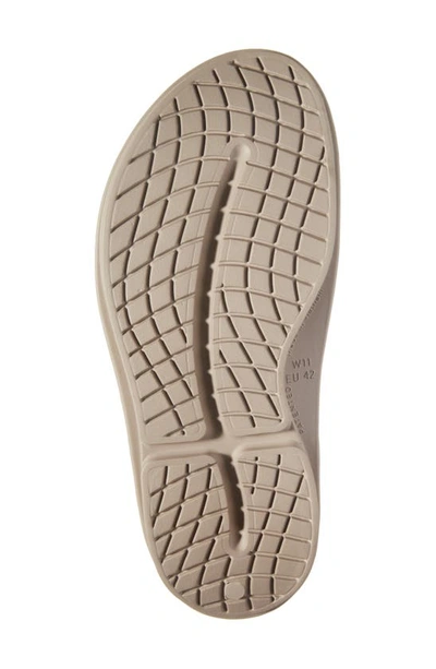 Shop Oofos Oomega Ooahh Slide Sandal In Nomad