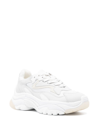 Shop Ash Sneakers Con Inserti In White