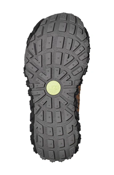 Shop Ugg Venture Daze Platform Slip-on Shoe In Sand / Black