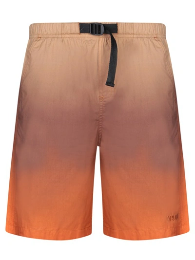 Shop Msgm Cotton Bermuda Shorts In Brown