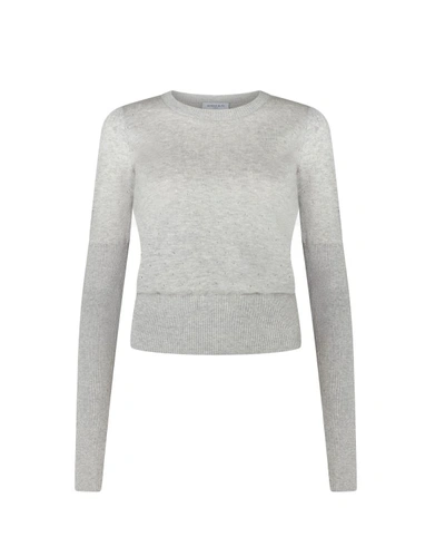 Shop Serena Bute Pointelle Fitted Jumper - Grey In White