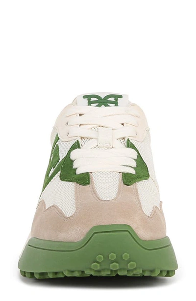 Sam Edelman Langley Lace Up Sneaker Green Multi Suede In Green Multi