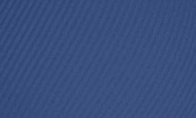 Robin Piccone Amy D-cup Bikini Top In Blueberry