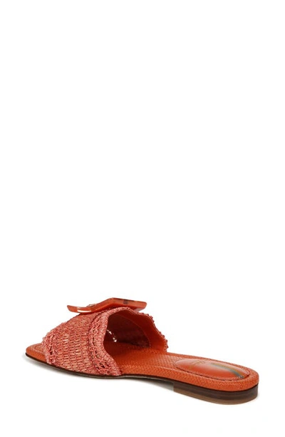 Shop Sam Edelman Bambi Raffia Buckle Slide Sandal In Terra Orange
