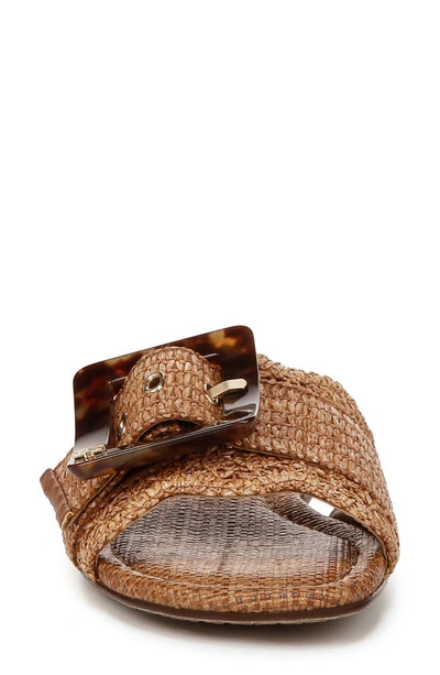 Shop Sam Edelman Bambi Raffia Buckle Slide Sandal In Cuoio