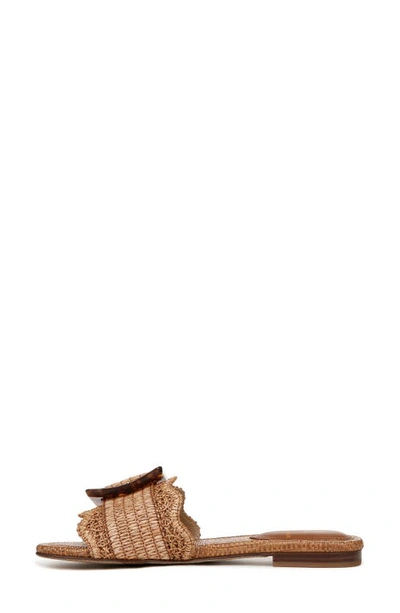 Shop Sam Edelman Bambi Raffia Buckle Slide Sandal In Cuoio