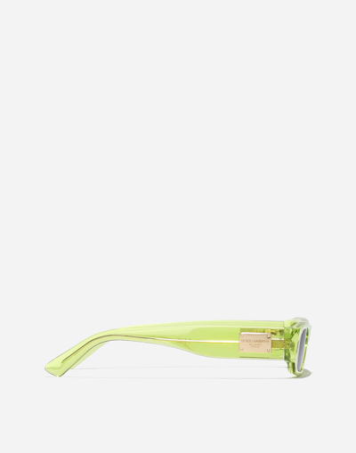 Dolce & Gabbana Occhiale Sole-202401 In Transparent Lime