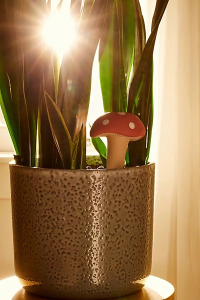 Shop Urban Outfitters Npw Mushroom Watering Spike In Red At